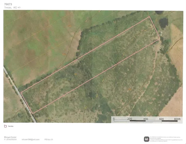 a view of a bunch of trees and bushes