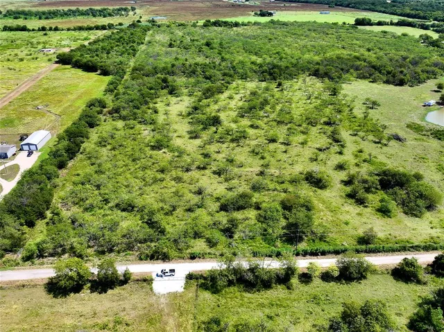 a view of a bunch of trees and bushes