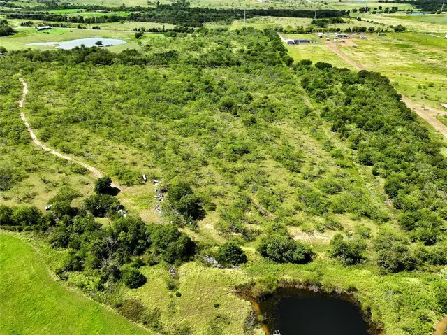 a view of a large yard with a tree