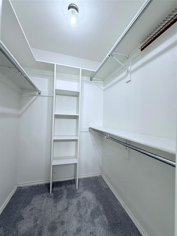 313 Pear Tree Place Denton, TX 76207 - Photo 17 of 23 Walk in closet with dark carpet