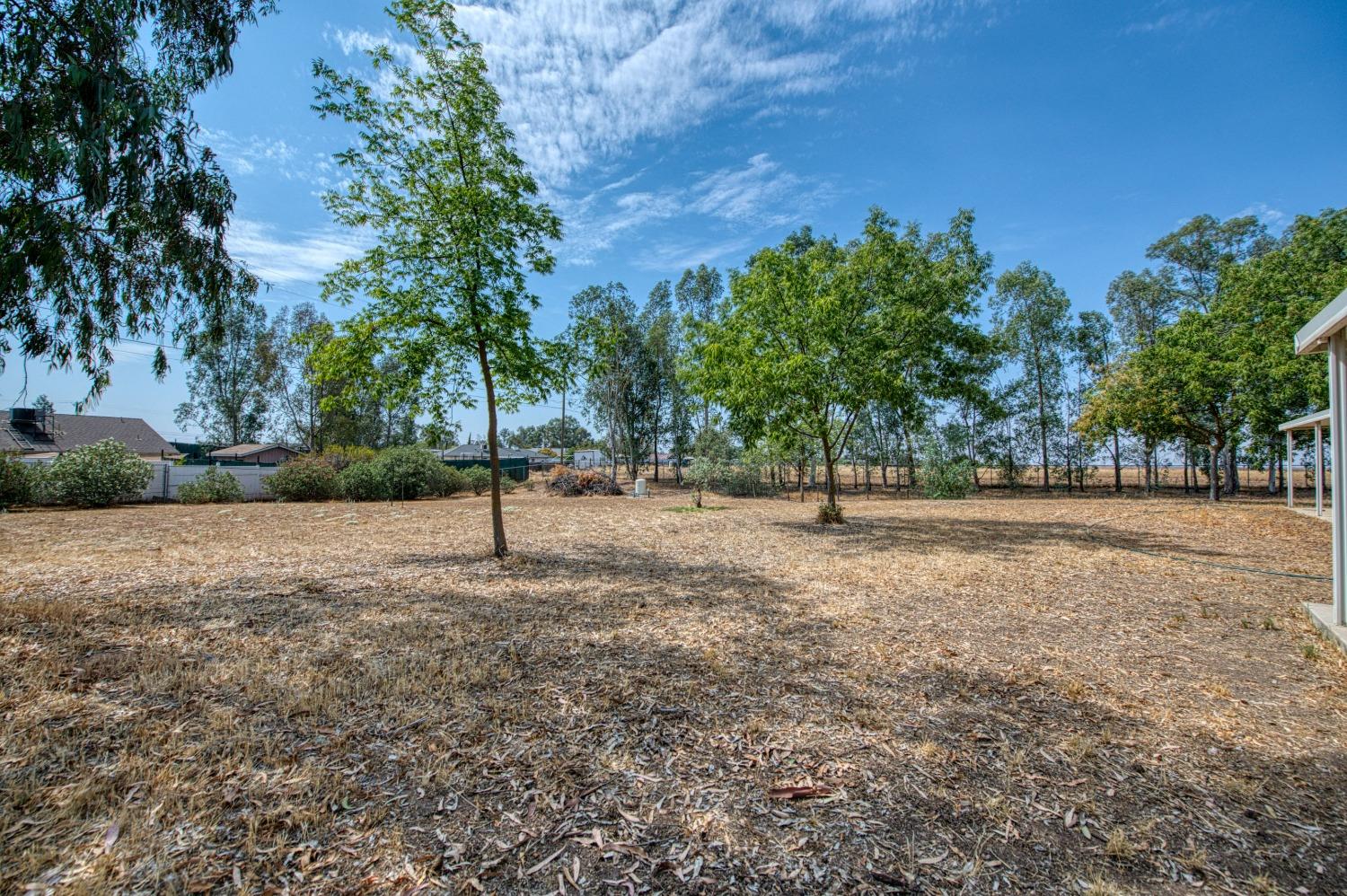 36730 Highway 145 Madera, CA 93636 - Photo 22 of 30 a view of outdoor space with trees