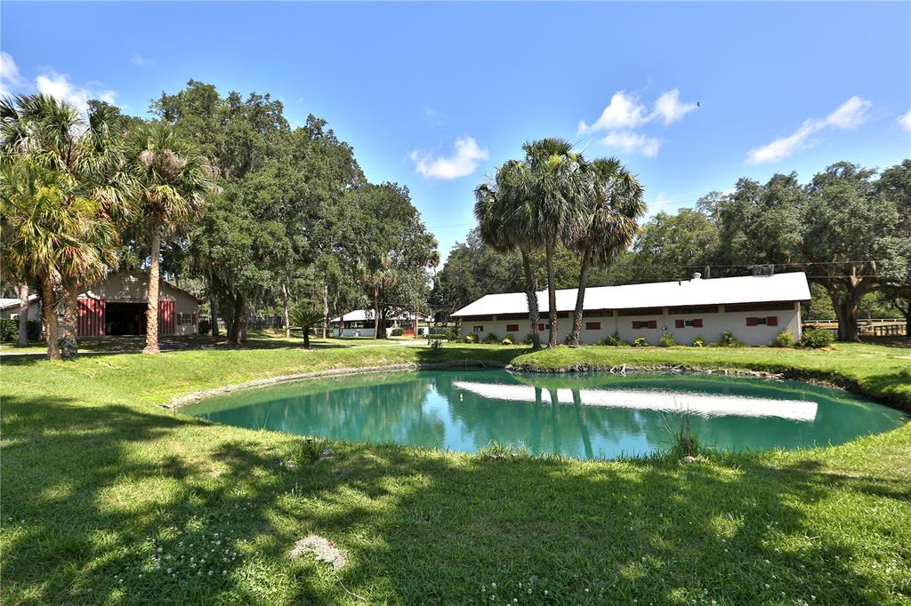 13450 Northwest Gainesville Road, Unit OPTION 2 Reddick, FL 32686 - Photo 7 of 70 Gallery Image 7