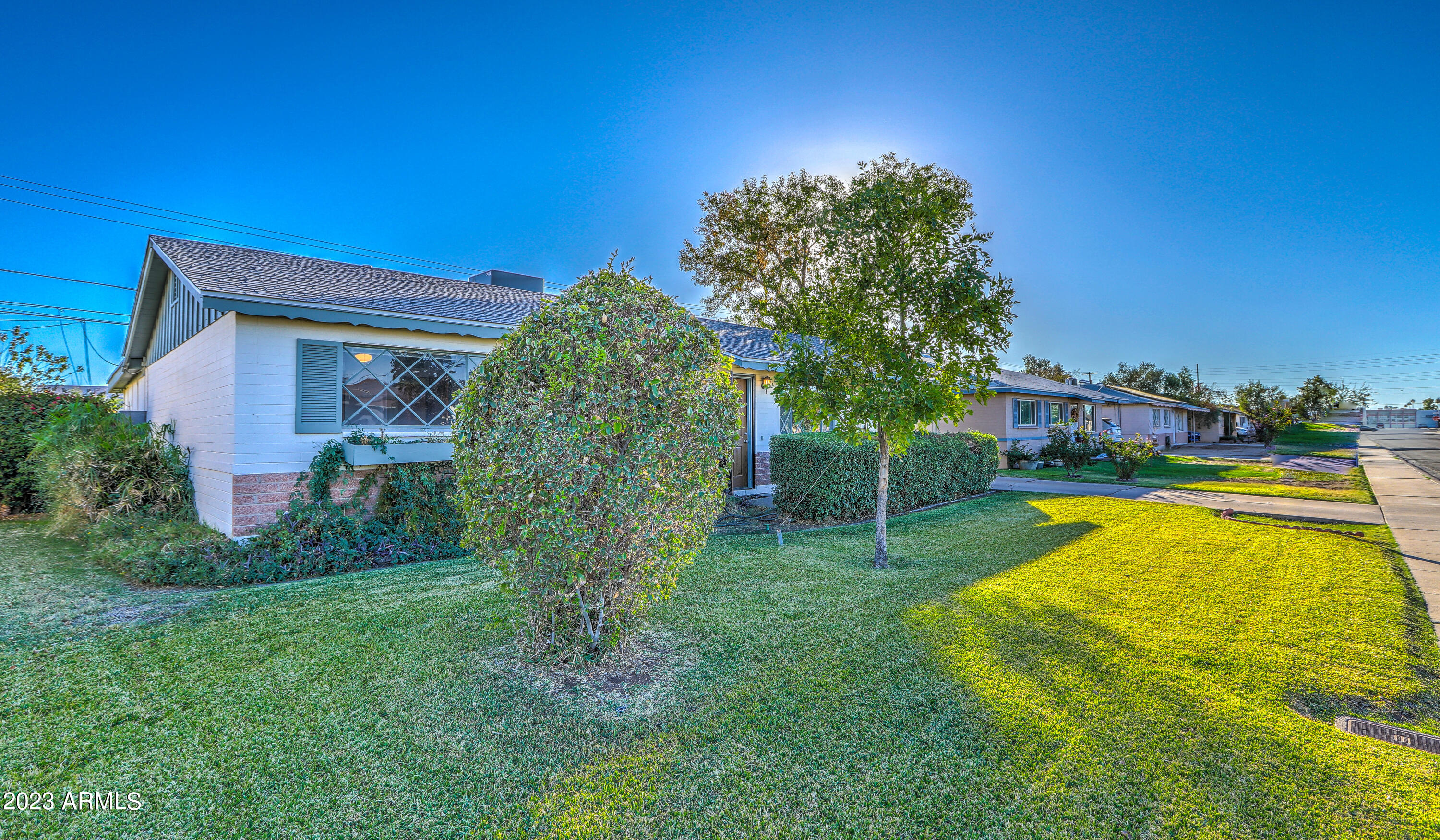 3349 West Charter Oak Road Phoenix, AZ 85029 - Photo 4 of 32 Mature Landscaping
