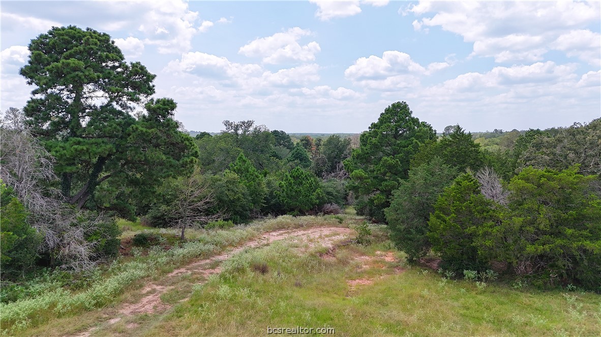 8 & 13) Road Paige, TX 78659 - Photo 16 of 22 Gallery Image 16
