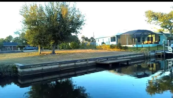 a view of swimming pool with lawn chairs and plants