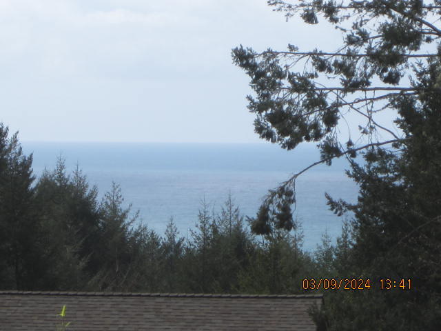 209 Spring Road Shelter Cove, CA 95589 - Photo 27 of 27 IMG_4570