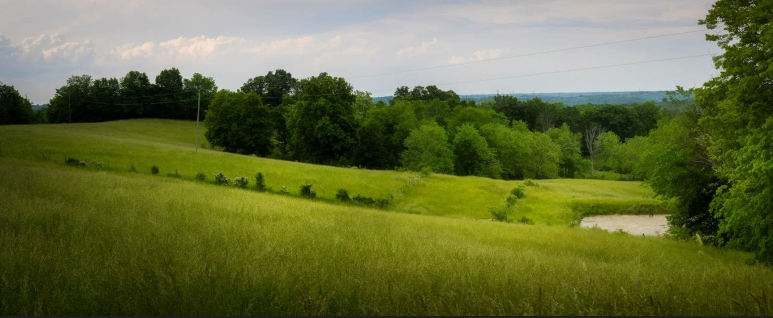 9851 Barrs Branch Road Alexandria, KY 41001 - Photo 7 of 49