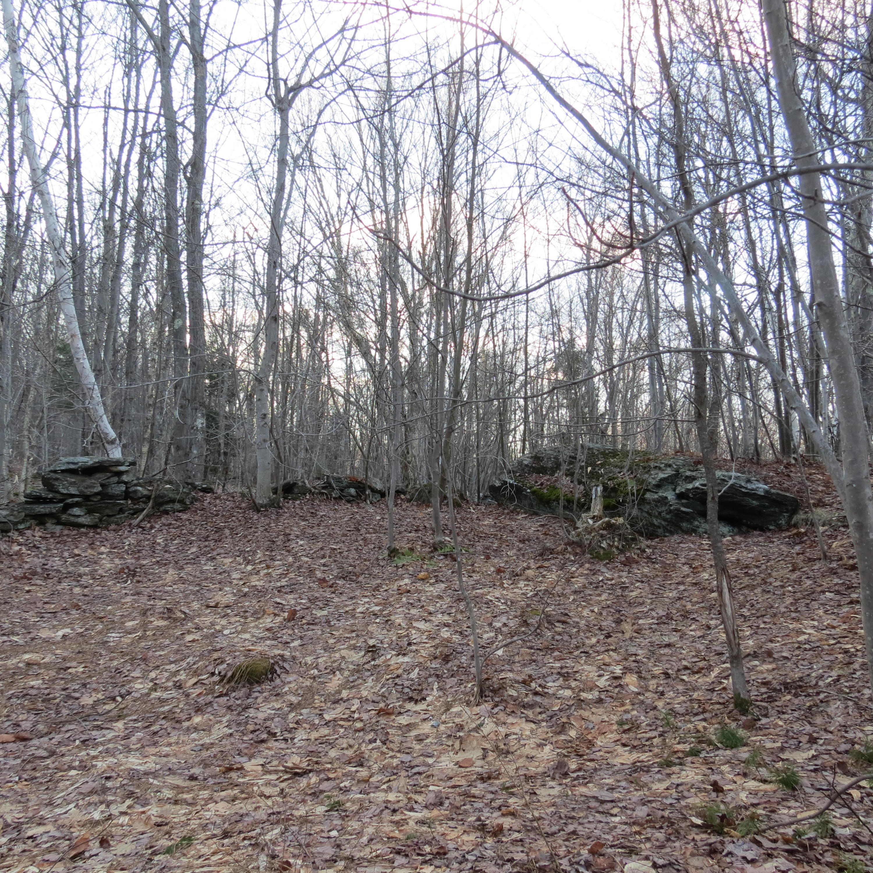 Stryker Road North Adams, MA 01247 - Photo 1 of 10 a view of backyard with green space