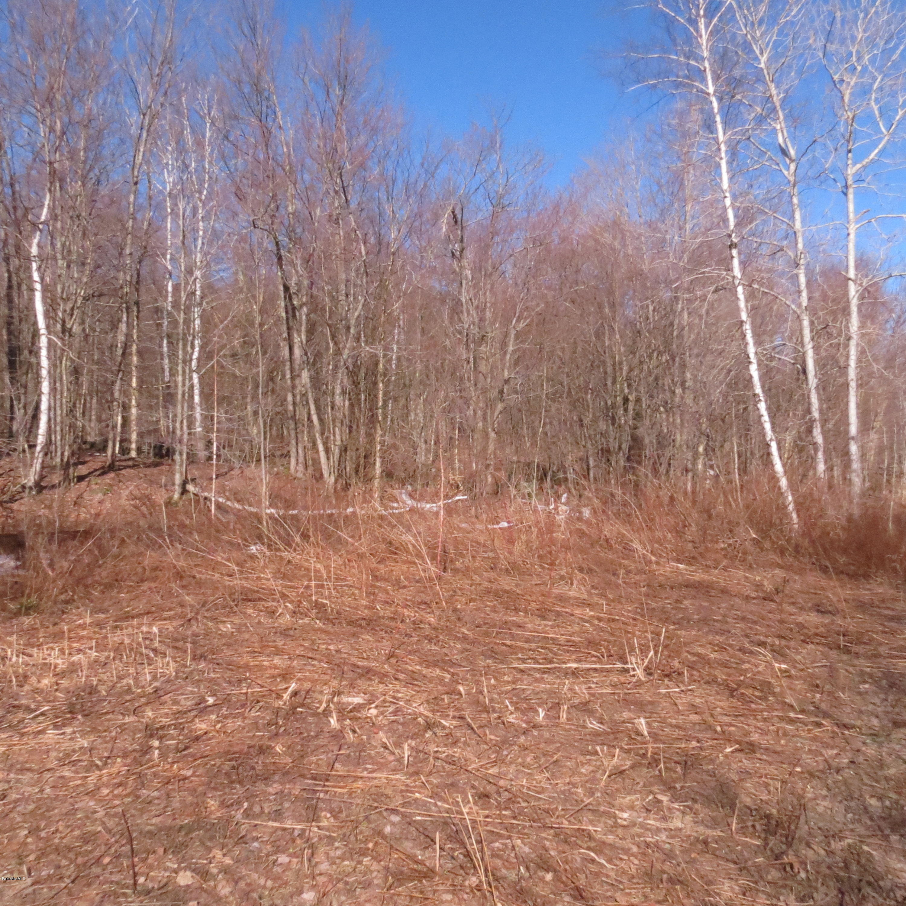 Stryker Road North Adams, MA 01247 - Photo 2 of 10 a view of wooden floor with a dry yard