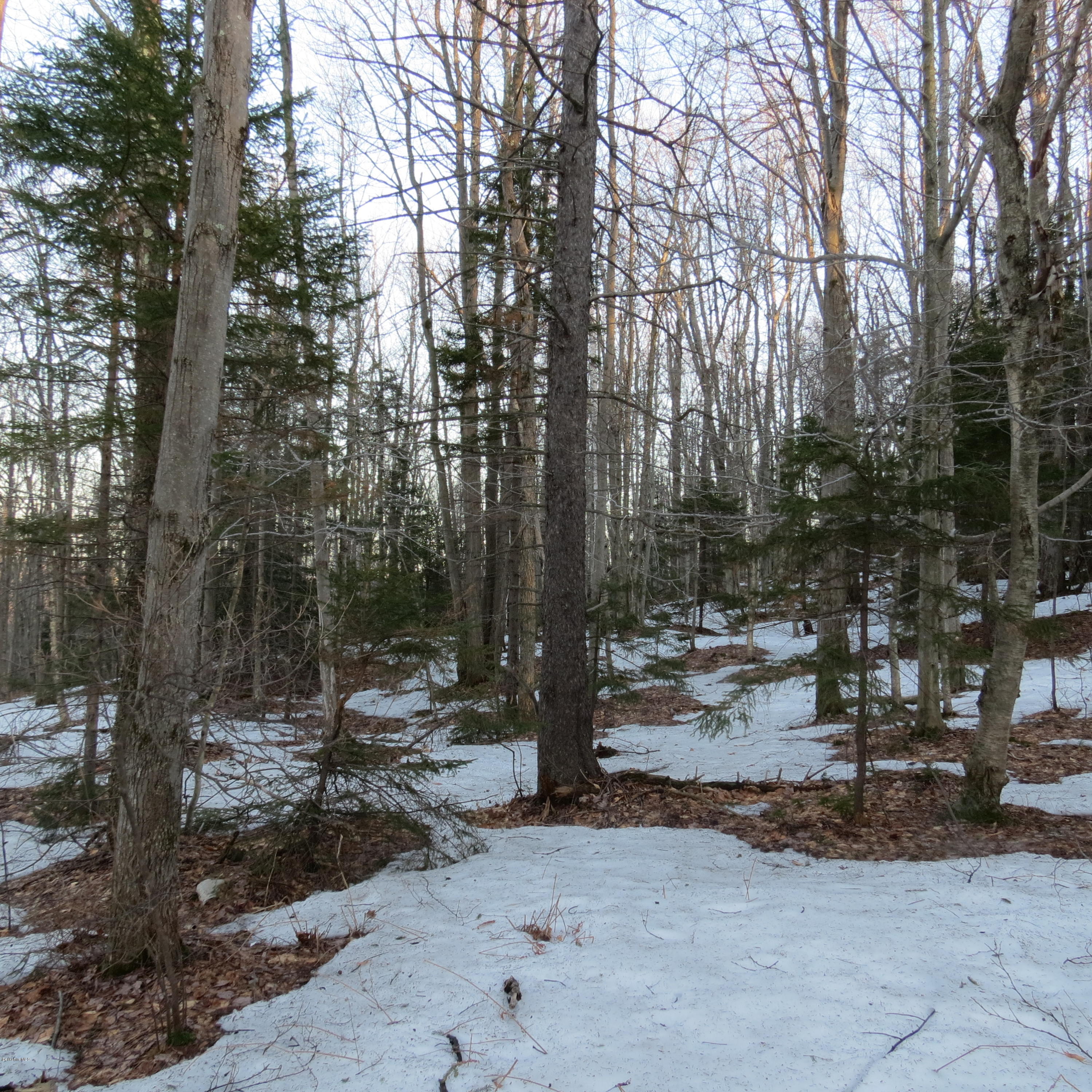 Stryker Road North Adams, MA 01247 - Photo 3 of 10 a view of a road with trees