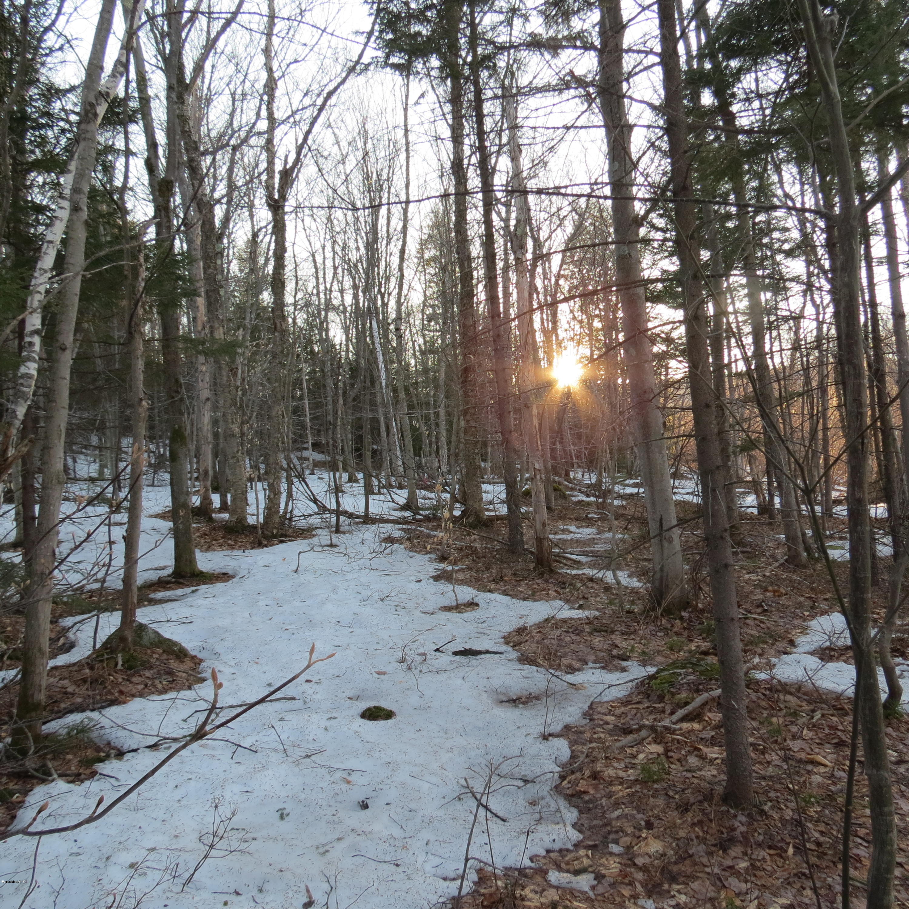 Stryker Road North Adams, MA 01247 - Photo 4 of 10 a view of a forest with trees