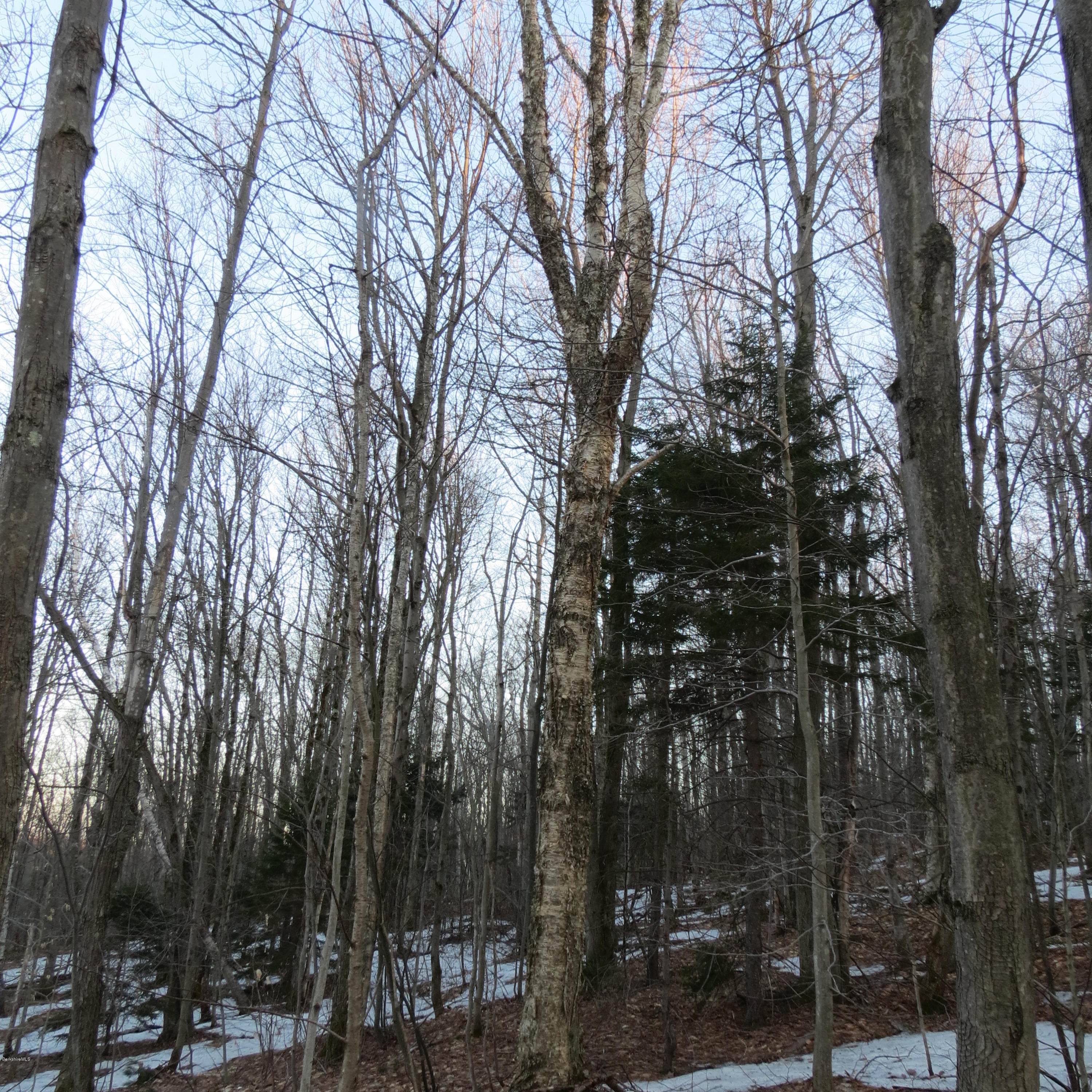 Stryker Road North Adams, MA 01247 - Photo 5 of 10 a view of forest