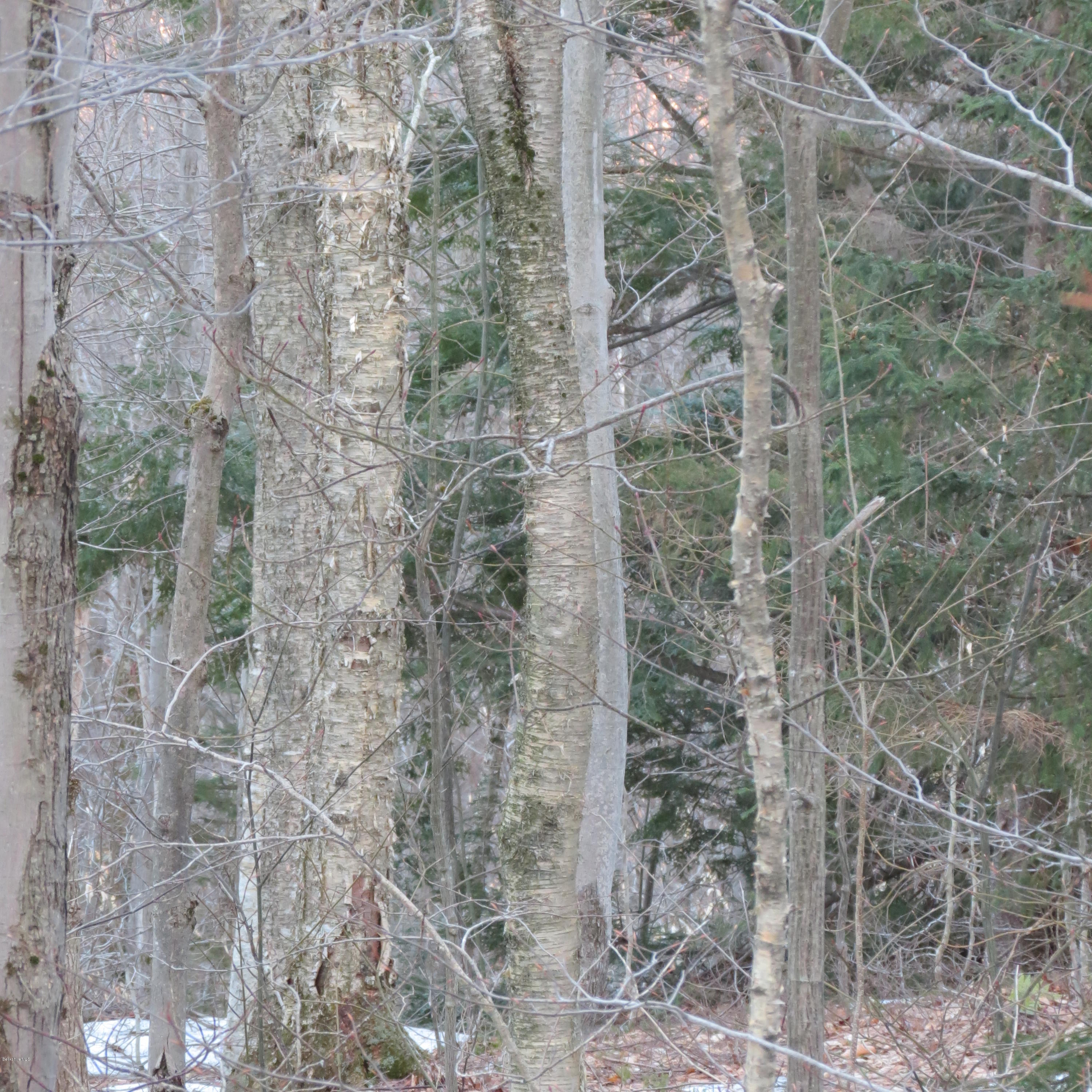 Stryker Road North Adams, MA 01247 - Photo 7 of 10 a close view of a backyard of the house