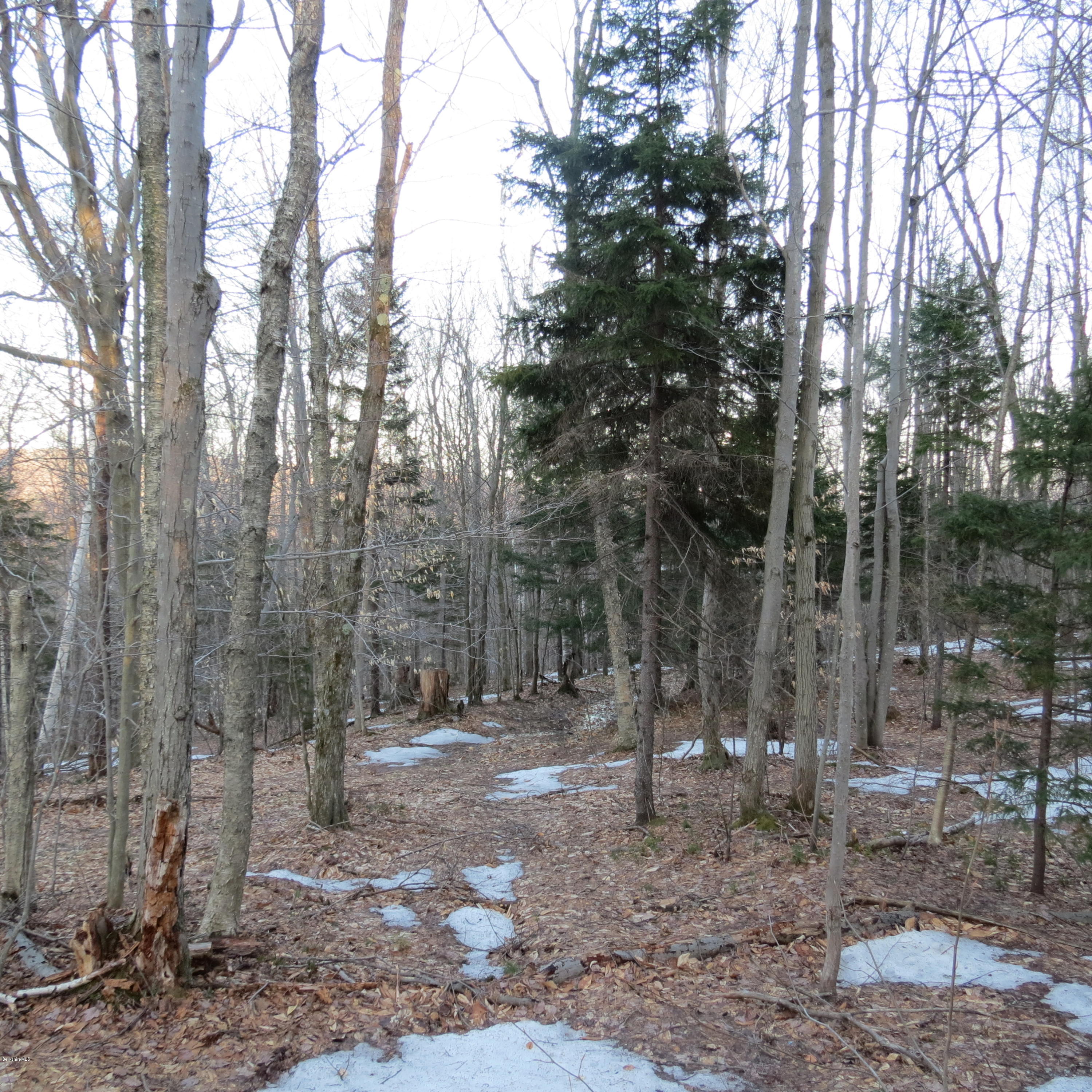Stryker Road North Adams, MA 01247 - Photo 9 of 10 a view of a forest with trees