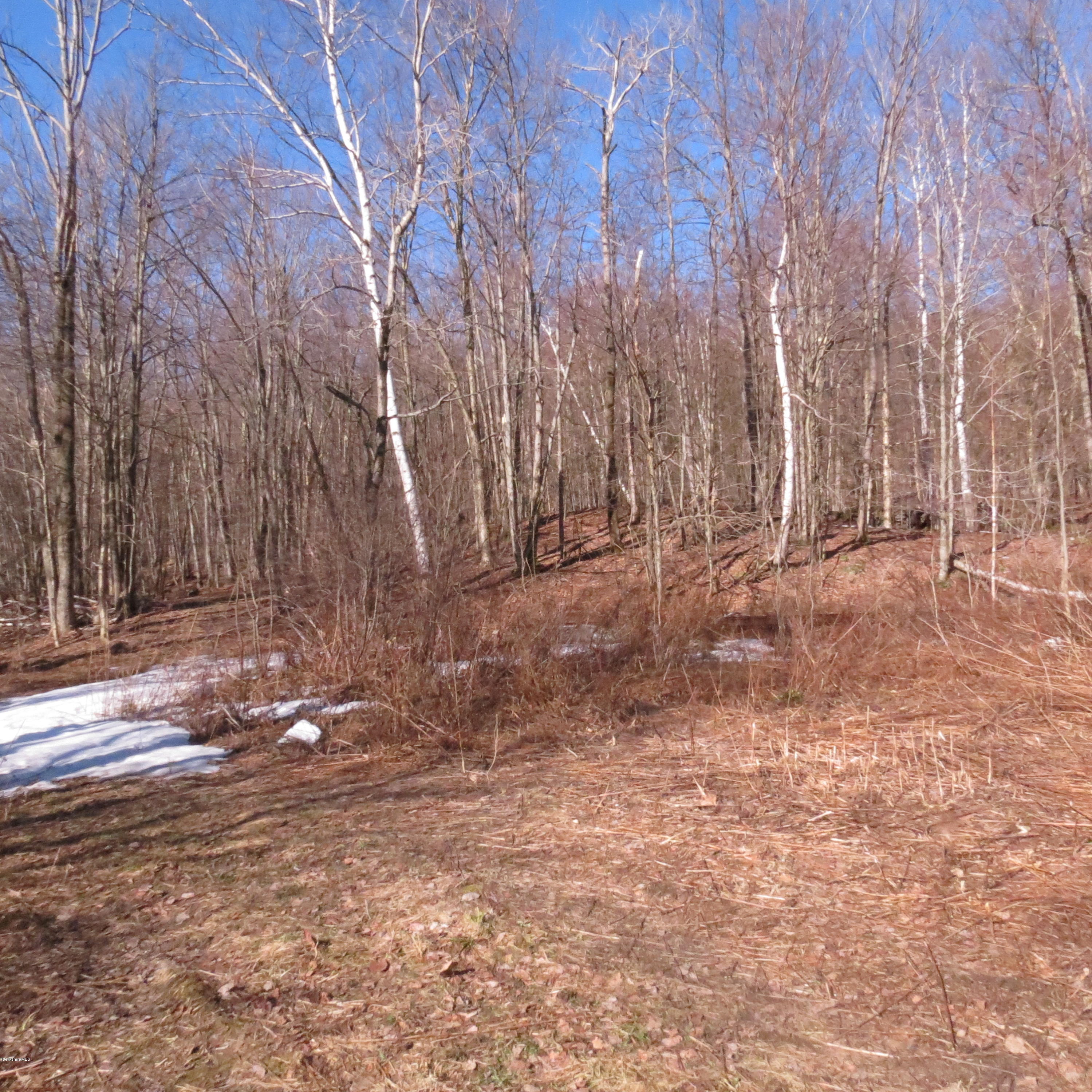 Stryker Road North Adams, MA 01247 - Photo 10 of 10 a backyard of a house with lots of green space