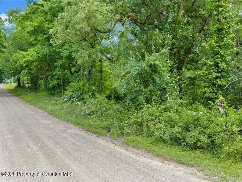 Stanley Lake Road Friendsville, PA 18818 - Photo 3 of 15 Road
