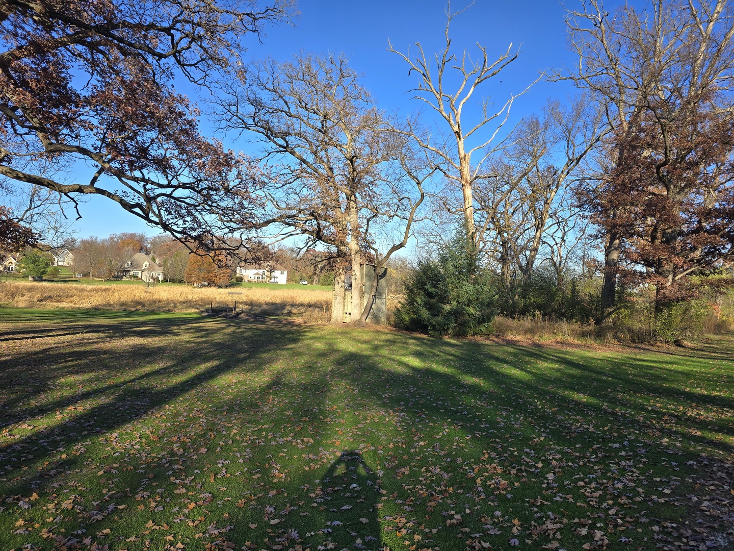43 Old Midlothian Road Elburn, IL 60119 - Photo 2 of 11
