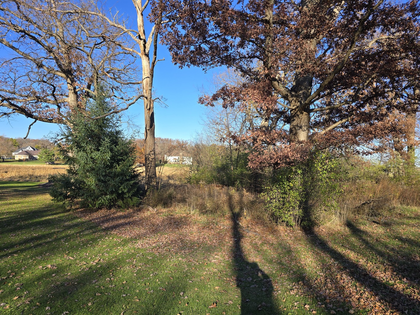 43 Old Midlothian Road Elburn, IL 60119 - Photo 4 of 11