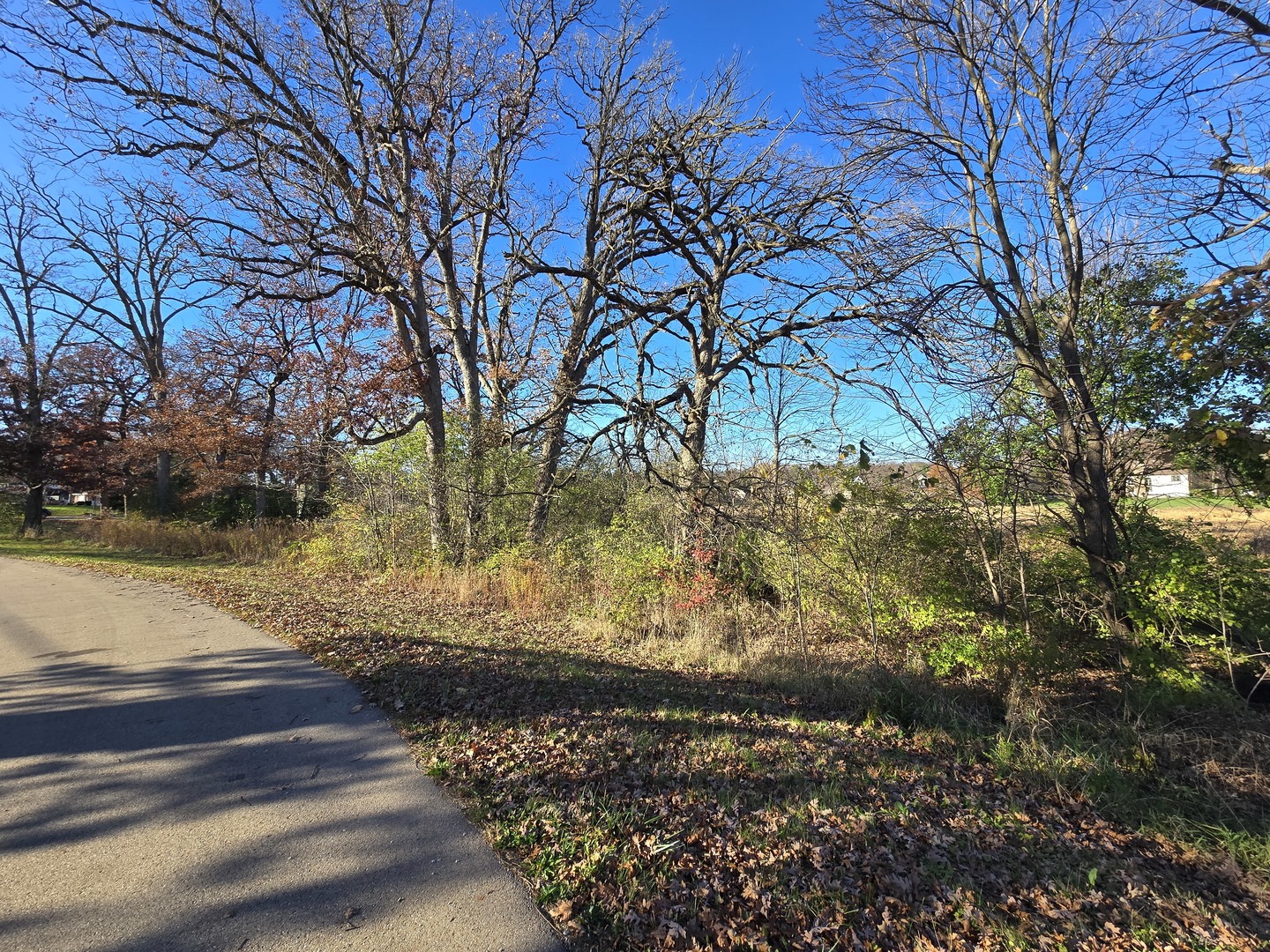43 Old Midlothian Road Elburn, IL 60119 - Photo 9 of 11