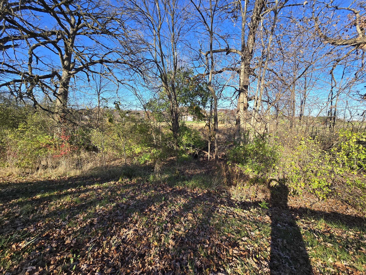 43 Old Midlothian Road Elburn, IL 60119 - Photo 10 of 11