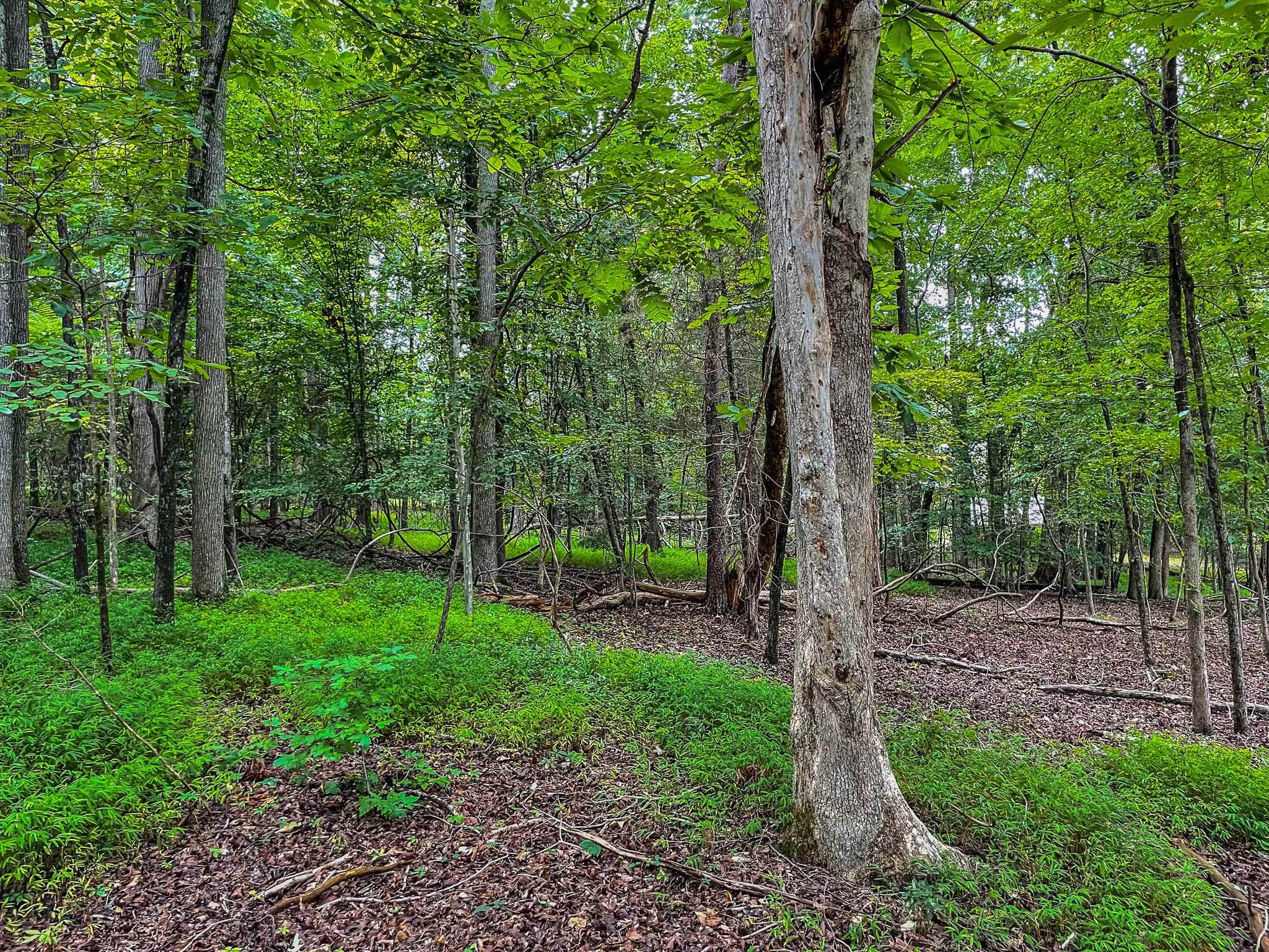 Lot E Amber Road Timberlake, NC 27583 - Photo 14 of 17 Photo 14