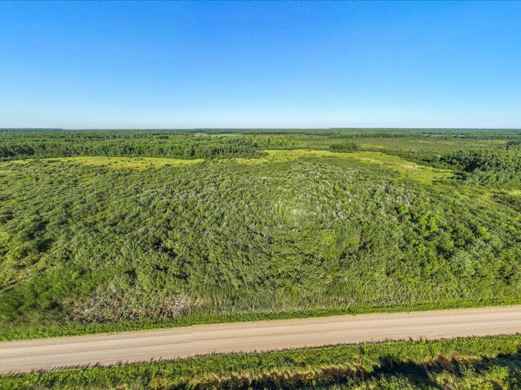 Tbd Meadowview Road Pierz, MN 56364 - Photo 11 of 30 Gallery Image 11
