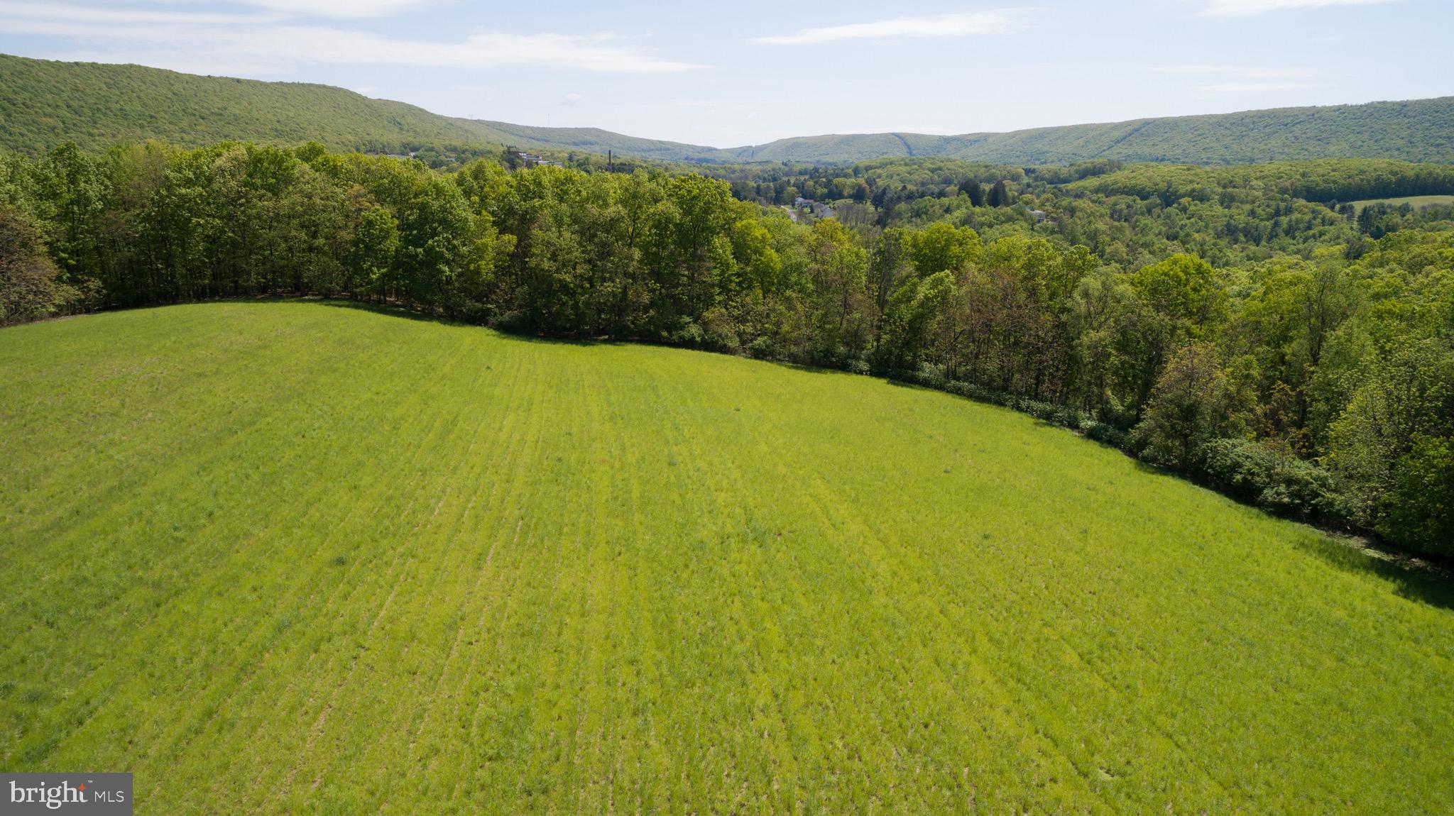 Lot 0 Tiley Road Ashland, PA 17921 - Photo 1 of 12