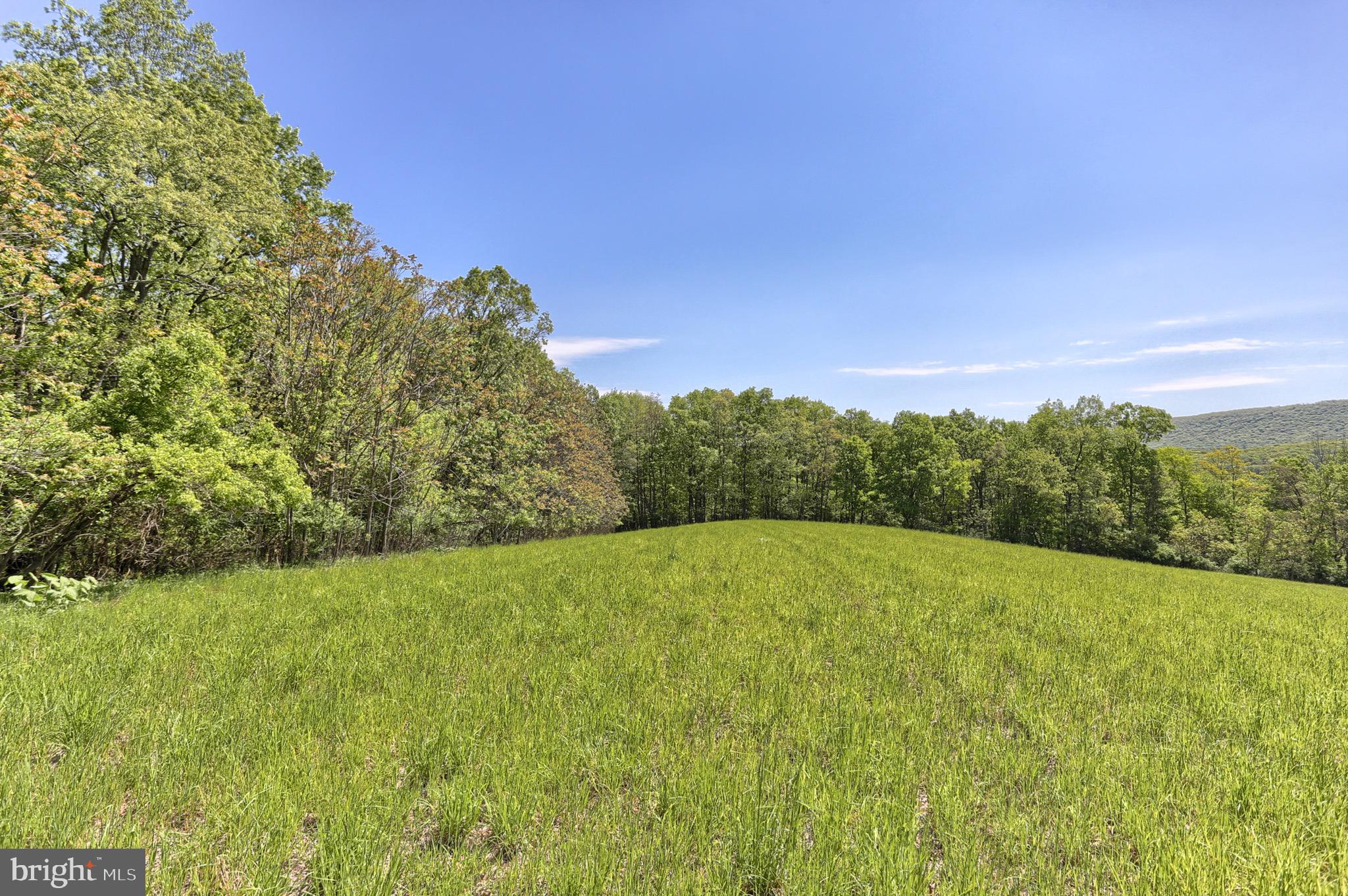 Lot 0 Tiley Road Ashland, PA 17921 - Photo 3 of 12