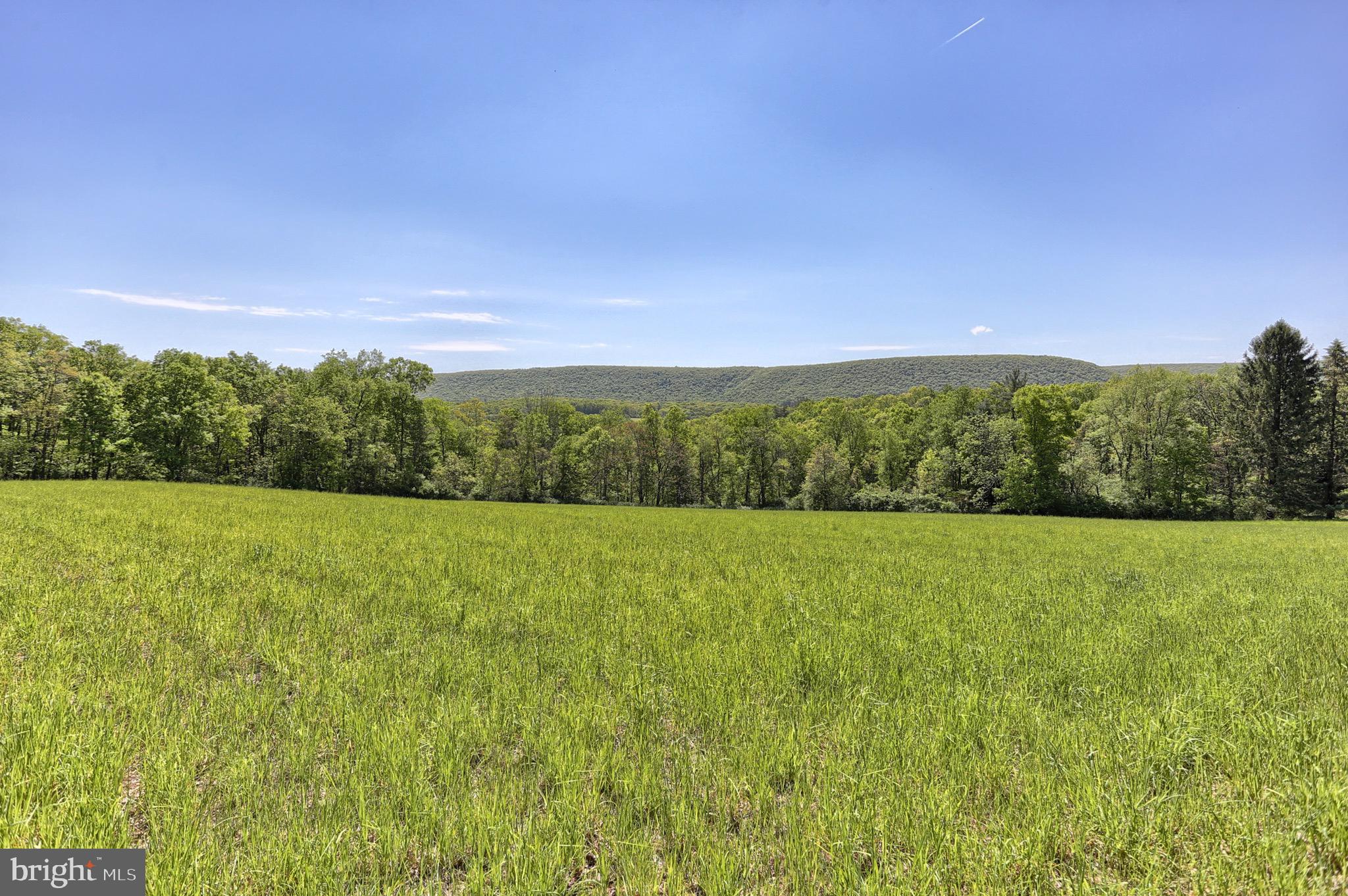 Lot 0 Tiley Road Ashland, PA 17921 - Photo 4 of 12