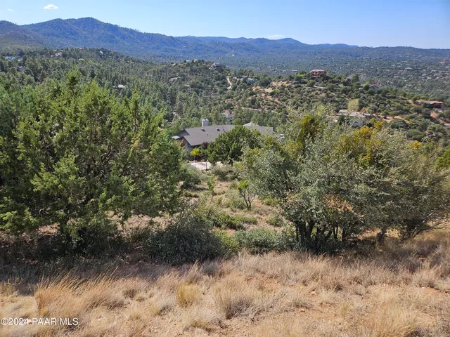 a view of a forest with mountains in the background