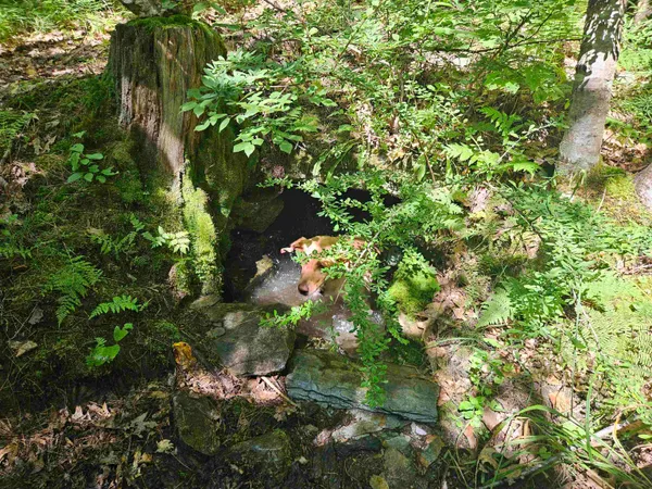 $87,900 | Lot 3.2 Off Parker Road, Lisbon, NH 03585