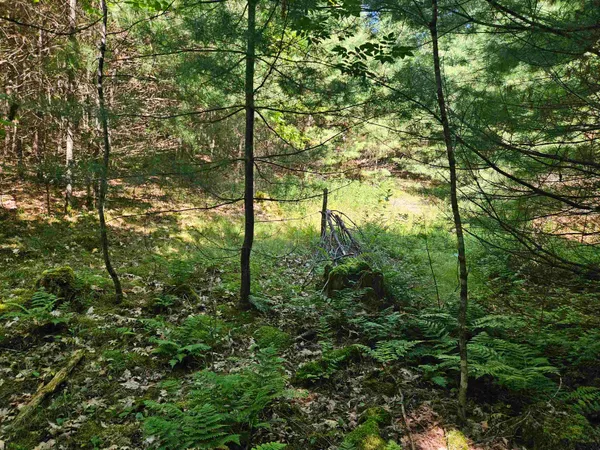 $87,900 | Lot 3.2 Off Parker Road, Lisbon, NH 03585