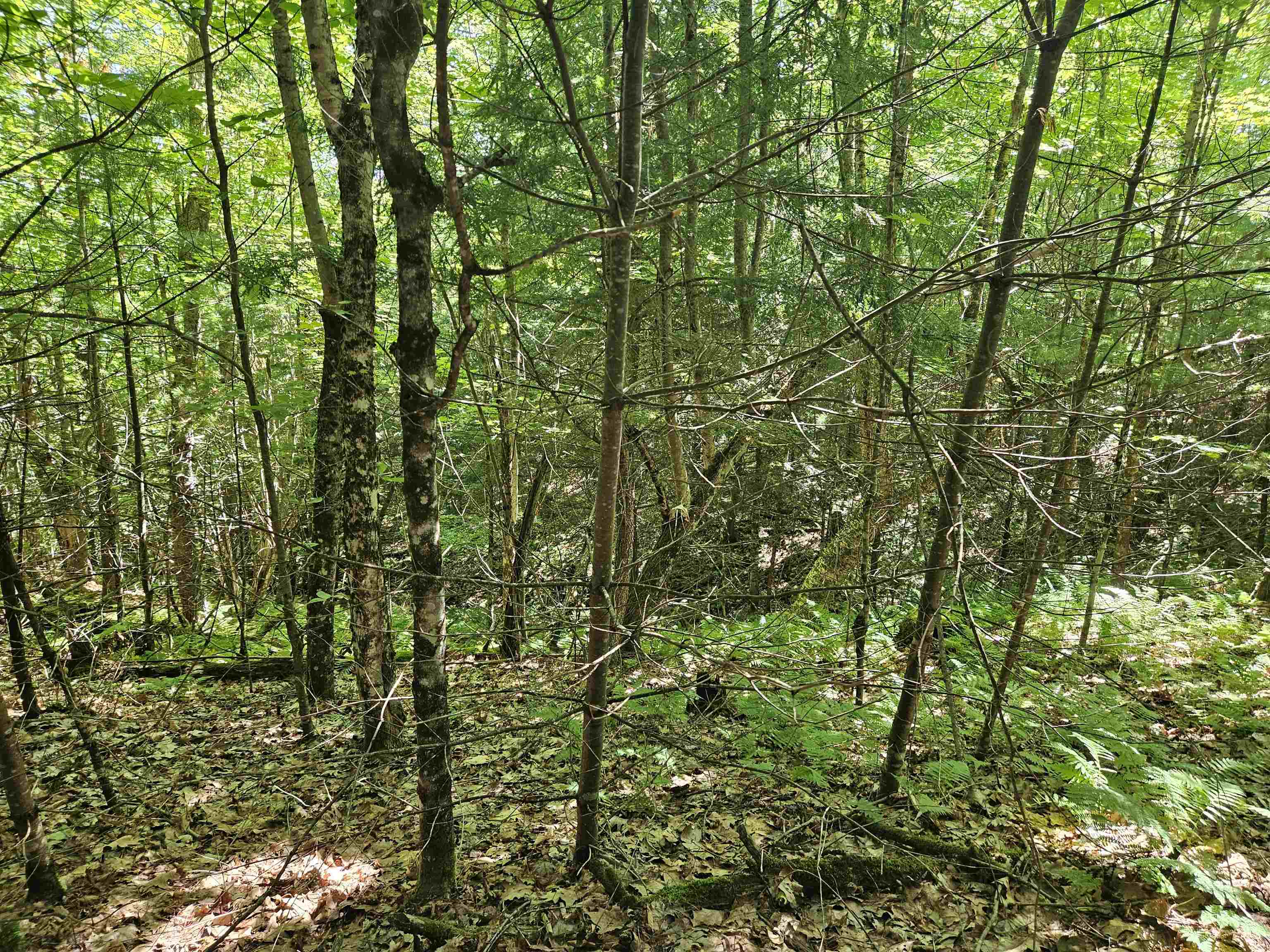 Lot 3.2 Off Parker Road Lisbon, NH 03585 - Photo 15 of 29