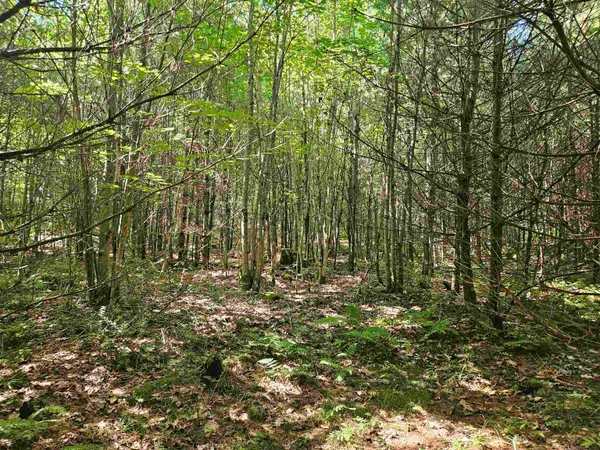$87,900 | Lot 3.2 Off Parker Road, Lisbon, NH 03585