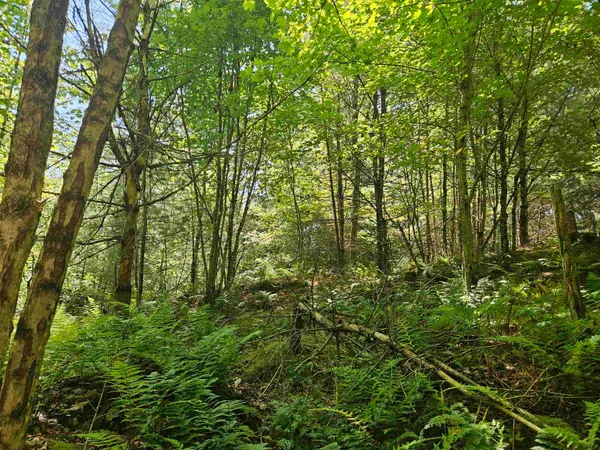 $87,900 | Lot 3.2 Off Parker Road, Lisbon, NH 03585