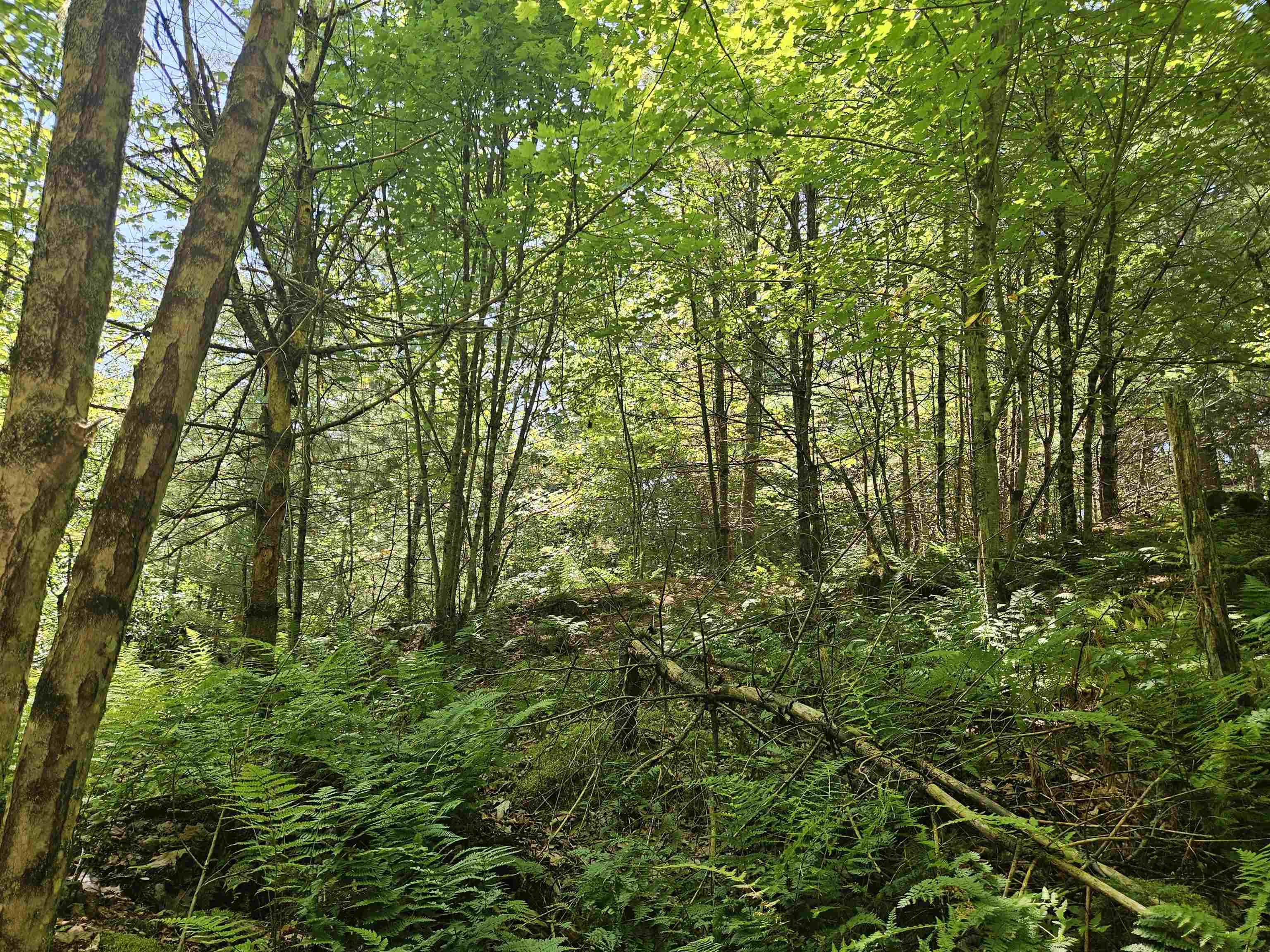 Lot 3.2 Off Parker Road Lisbon, NH 03585 - Photo 18 of 29