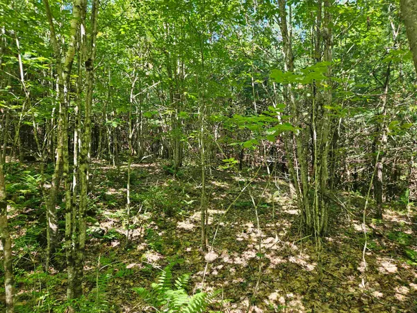 $87,900 | Lot 3.2 Off Parker Road, Lisbon, NH 03585