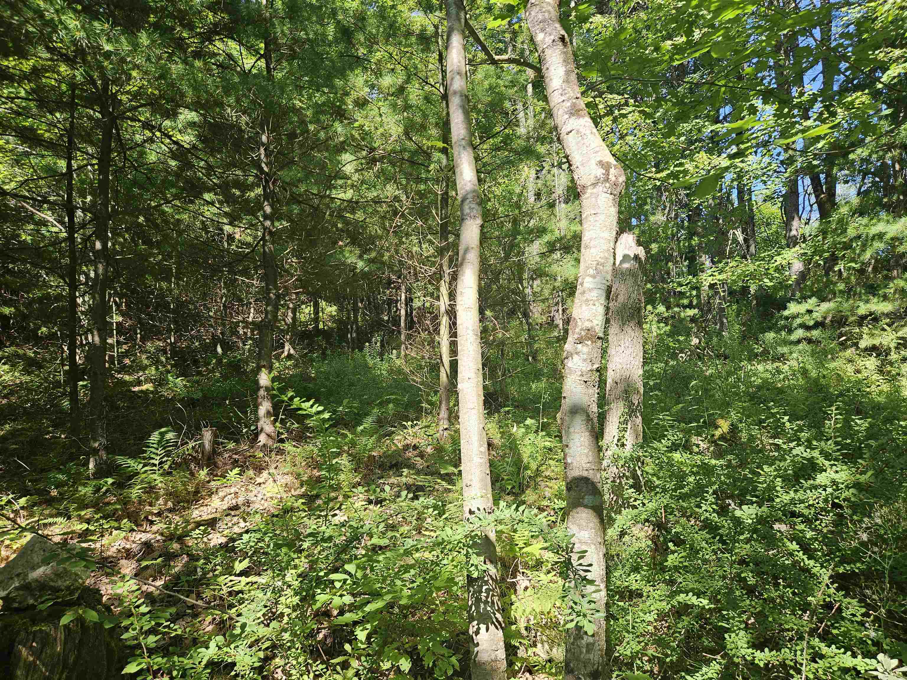 Lot 3.2 Off Parker Road Lisbon, NH 03585 - Photo 2 of 29