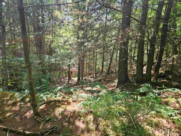 $87,900 | Lot 3.2 Off Parker Road, Lisbon, NH 03585