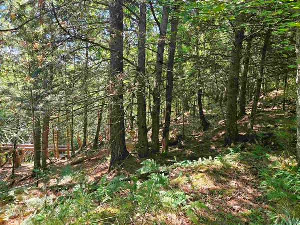 $87,900 | Lot 3.2 Off Parker Road, Lisbon, NH 03585