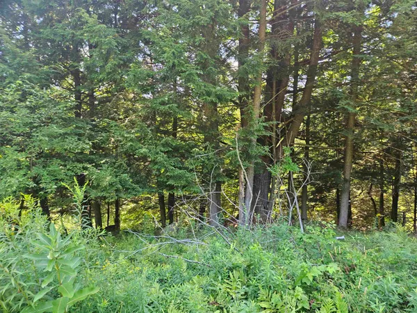 $87,900 | Lot 3.2 Off Parker Road, Lisbon, NH 03585