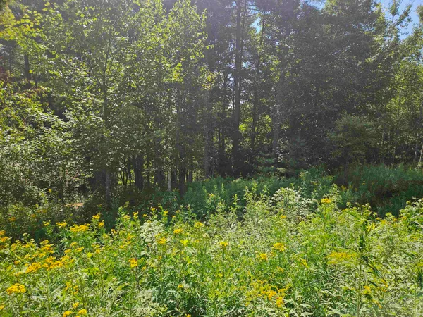 $87,900 | Lot 3.2 Off Parker Road, Lisbon, NH 03585