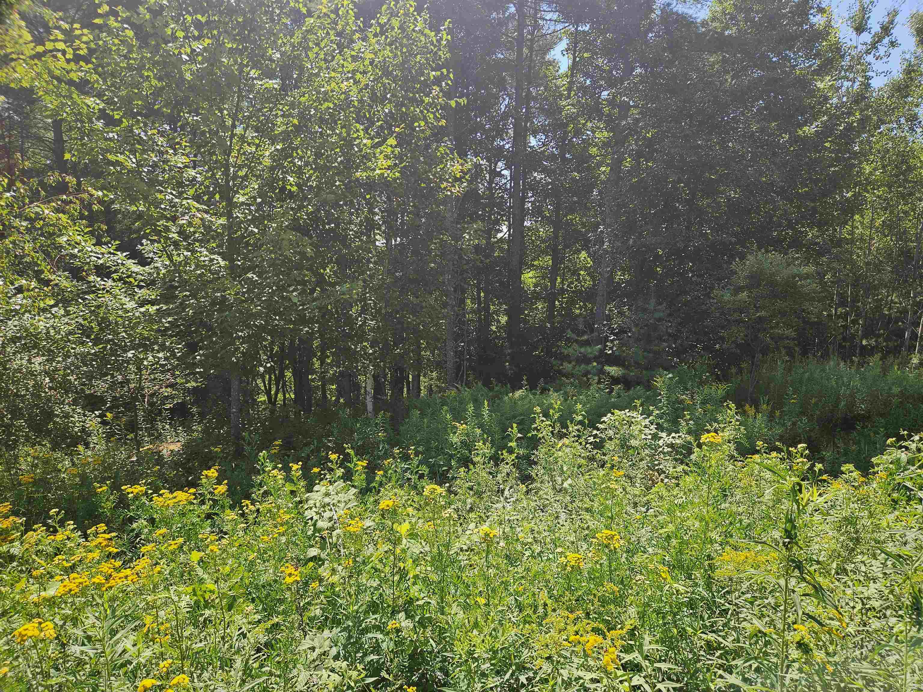 Lot 3.2 Off Parker Road Lisbon, NH 03585 - Photo 25 of 29