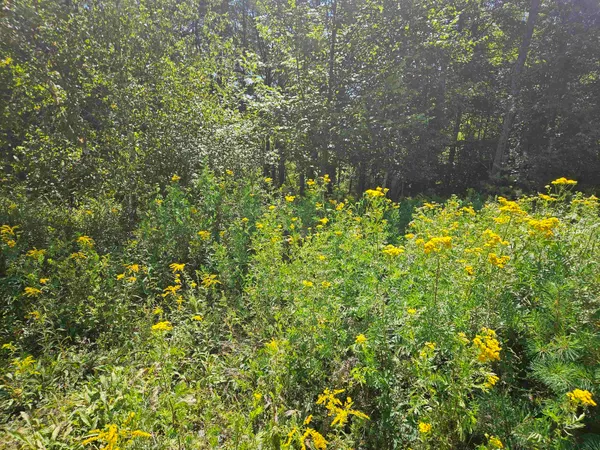 $87,900 | Lot 3.2 Off Parker Road, Lisbon, NH 03585