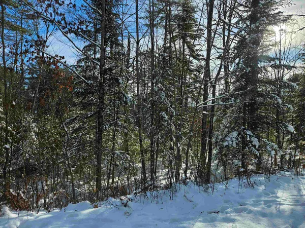 $87,900 | Lot 3.2 Off Parker Road, Lisbon, NH 03585
