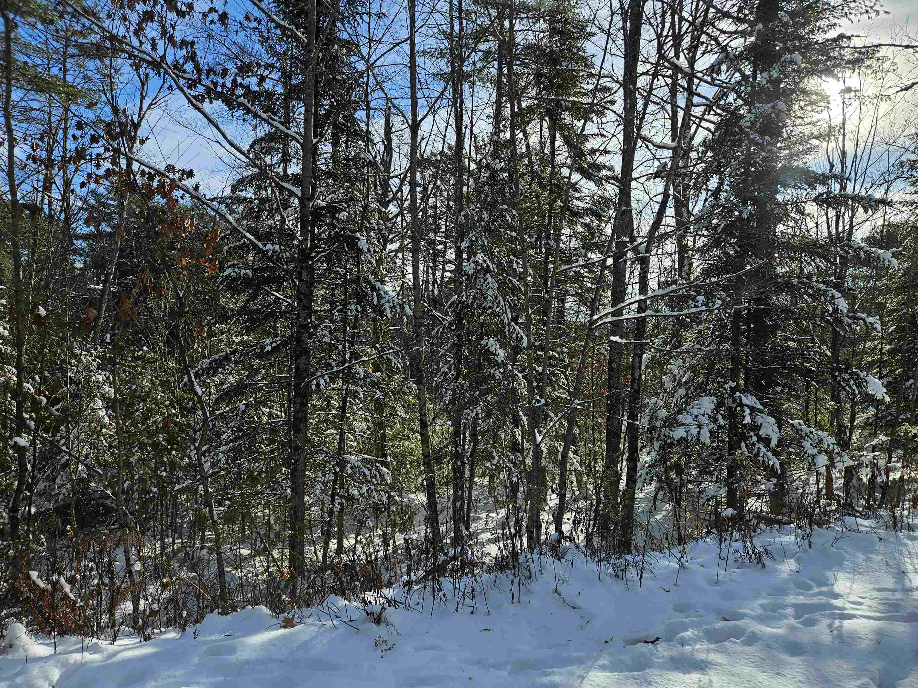 Lot 3.2 Off Parker Road Lisbon, NH 03585 - Photo 27 of 29