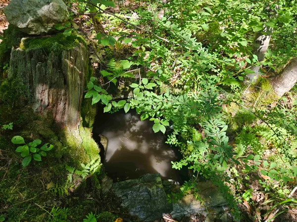 $87,900 | Lot 3.2 Off Parker Road, Lisbon, NH 03585