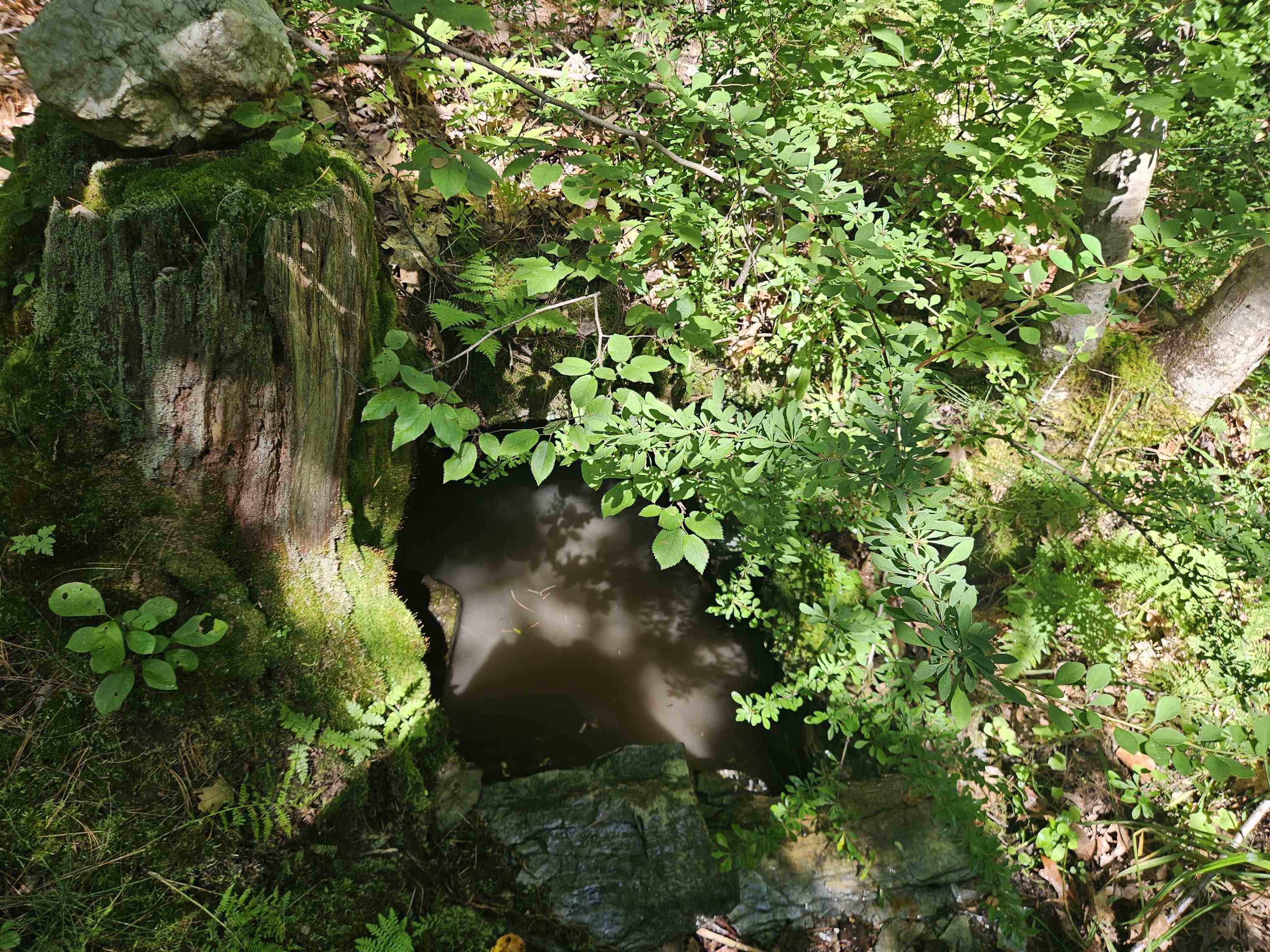 Lot 3.2 Off Parker Road Lisbon, NH 03585 - Photo 3 of 29