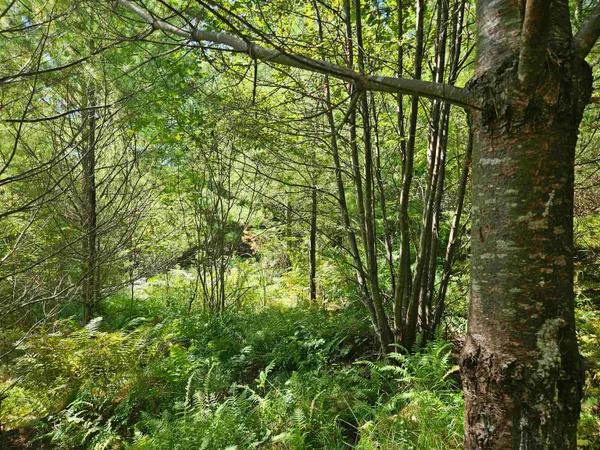 $87,900 | Lot 3.2 Off Parker Road, Lisbon, NH 03585