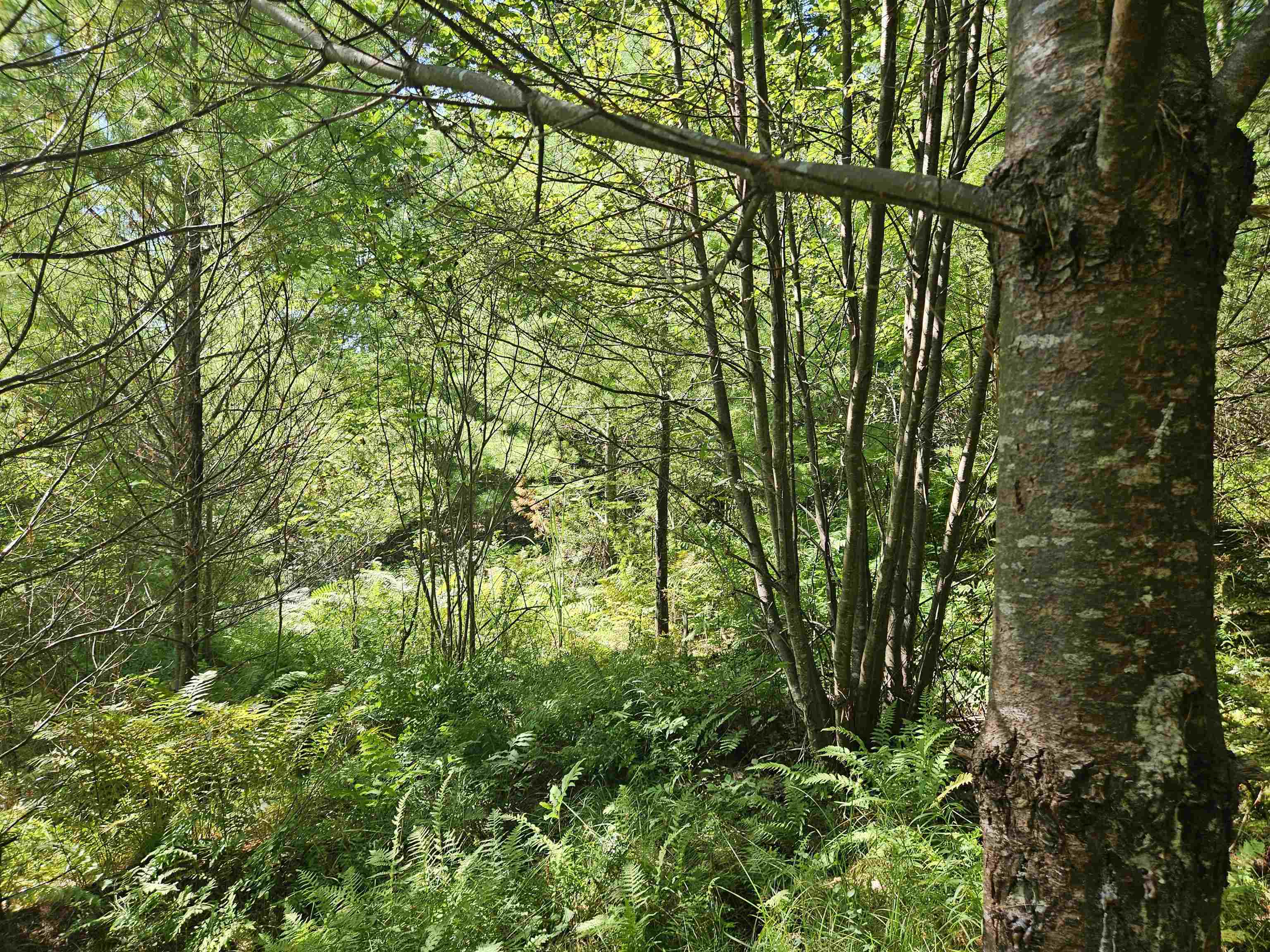 Lot 3.2 Off Parker Road Lisbon, NH 03585 - Photo 5 of 29